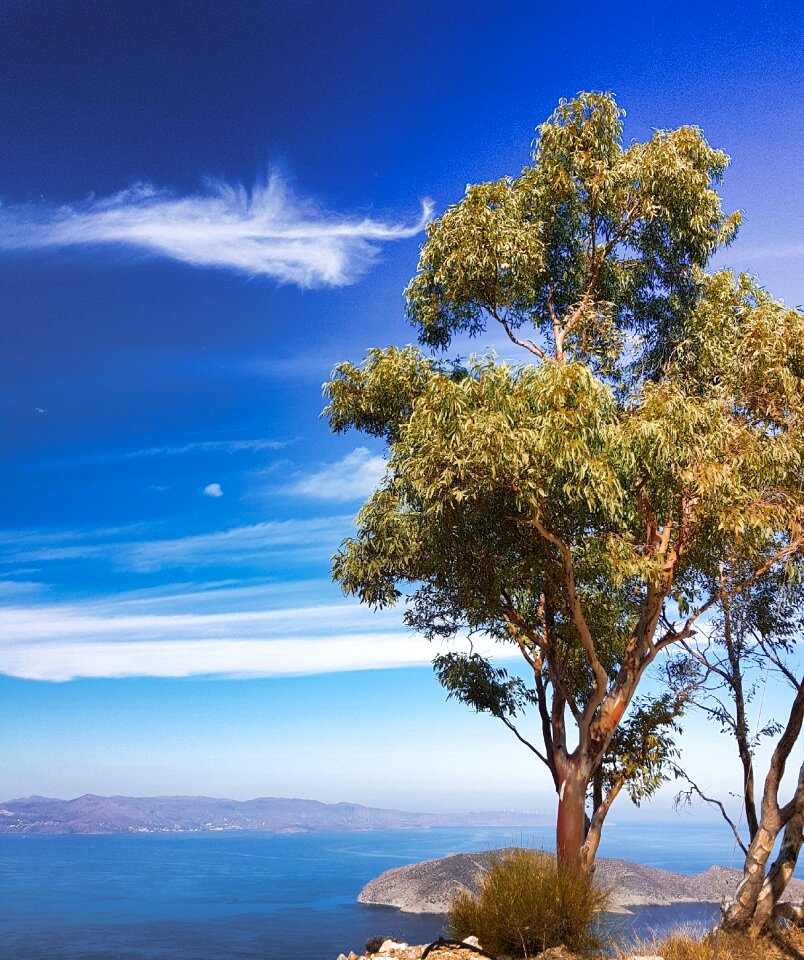 Clouds cliff tree