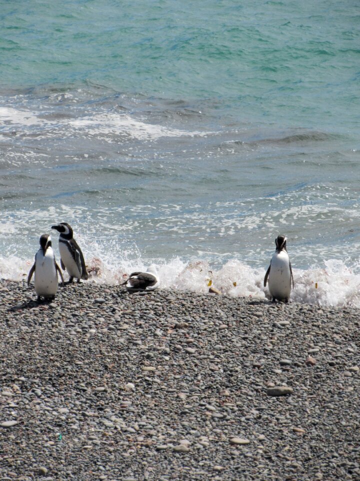 Tourism south patagonia