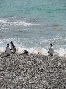 Tourism south patagonia