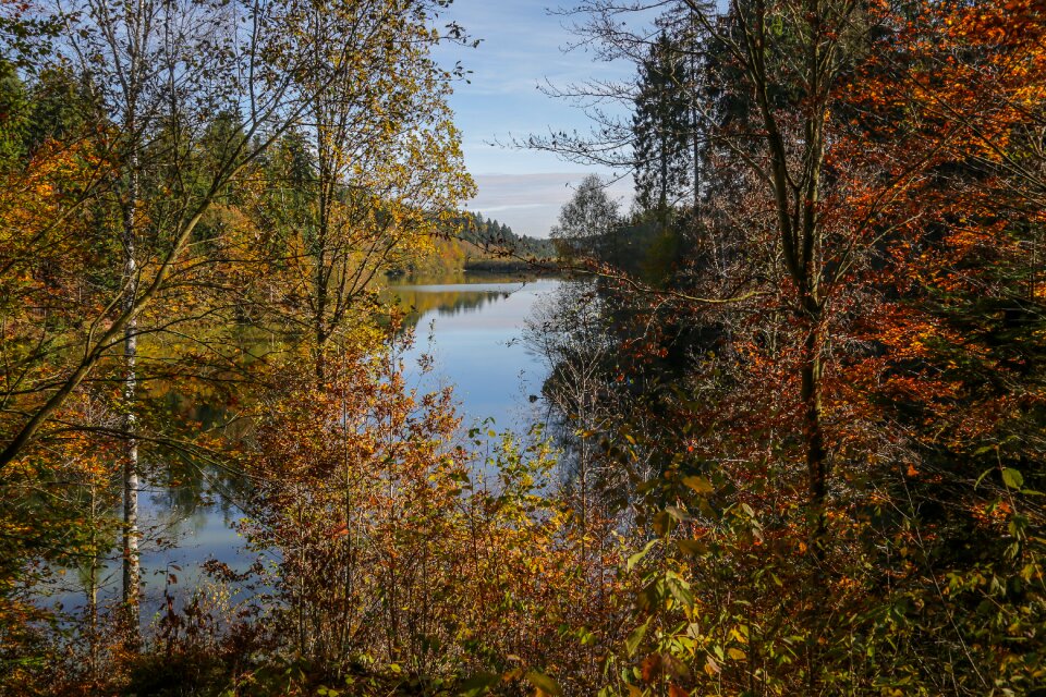 Retention basin autumn fall foliage