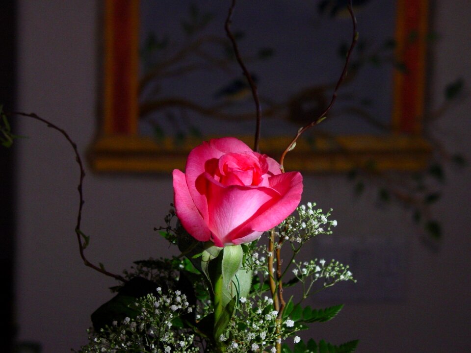 Floral love blossom
