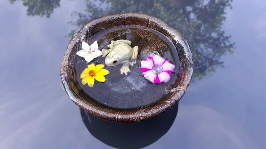 Mirroring water balcony pond