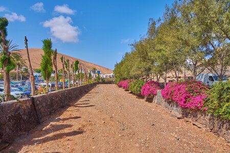 Dry nature ground