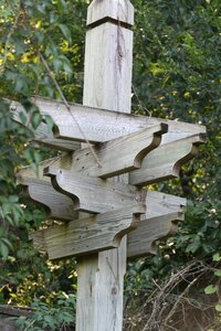Wood direction green email