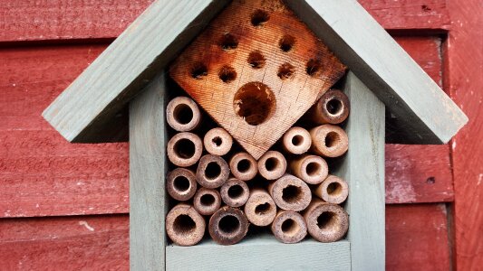Garden nature hive