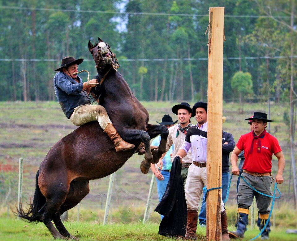 Gineteada a style gaucho to ride horses