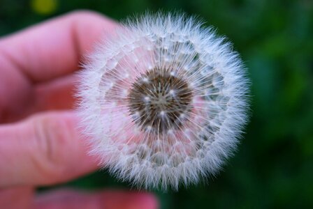 Picture nature