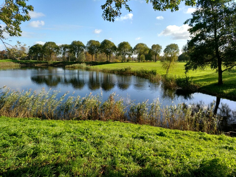 Landscape river pond