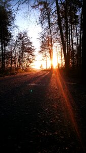 Awakening sunlight sunny