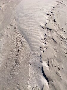 Close up sand beach sand photo