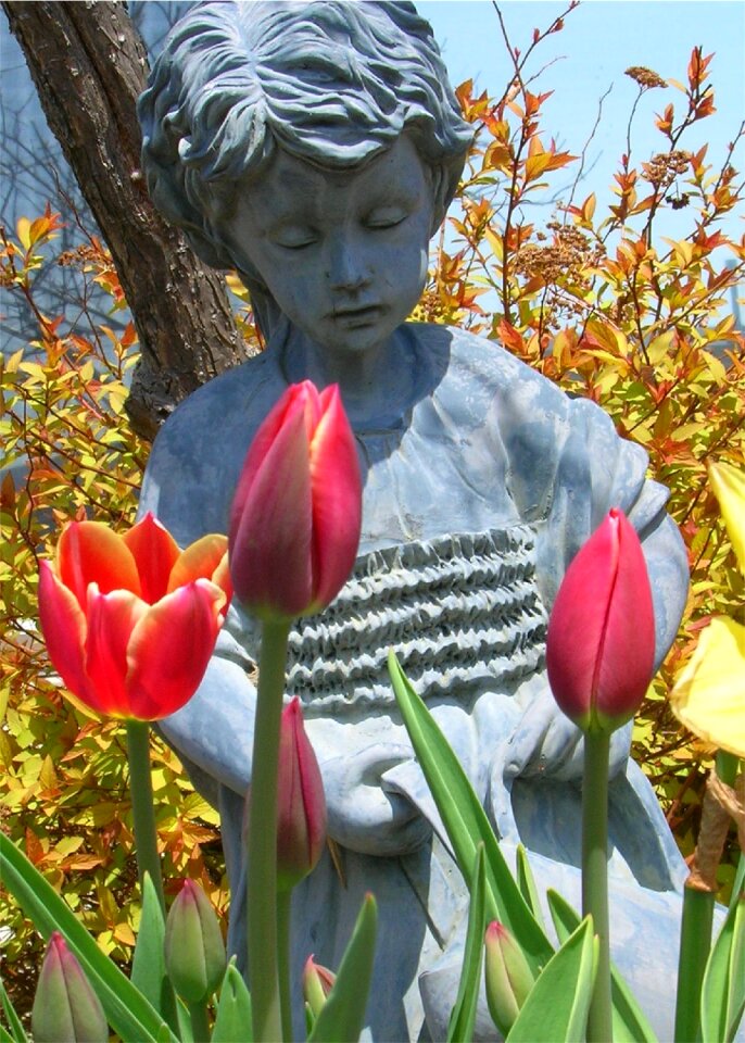 Lovely flowers peaceful