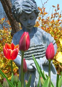 Lovely flowers peaceful
