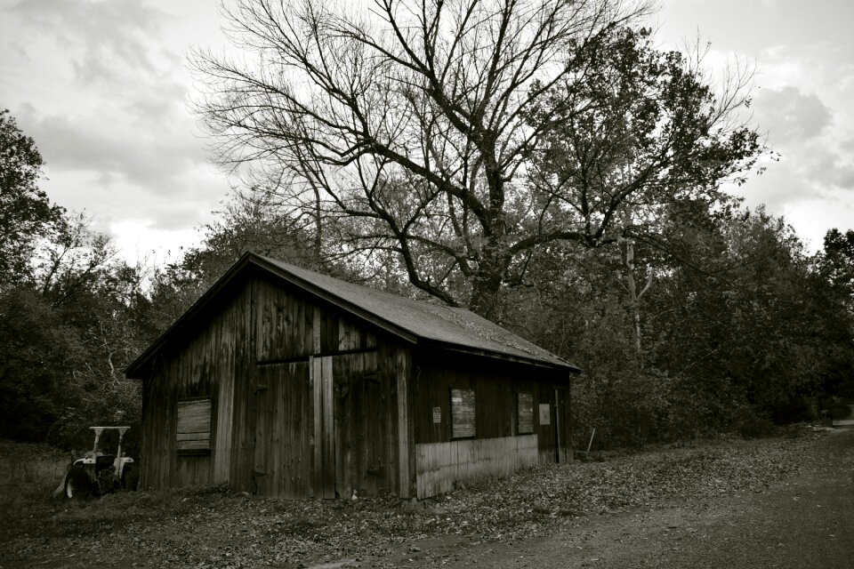 Rural nature wooden