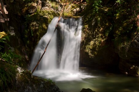 Stone wall gorge forest nature photo