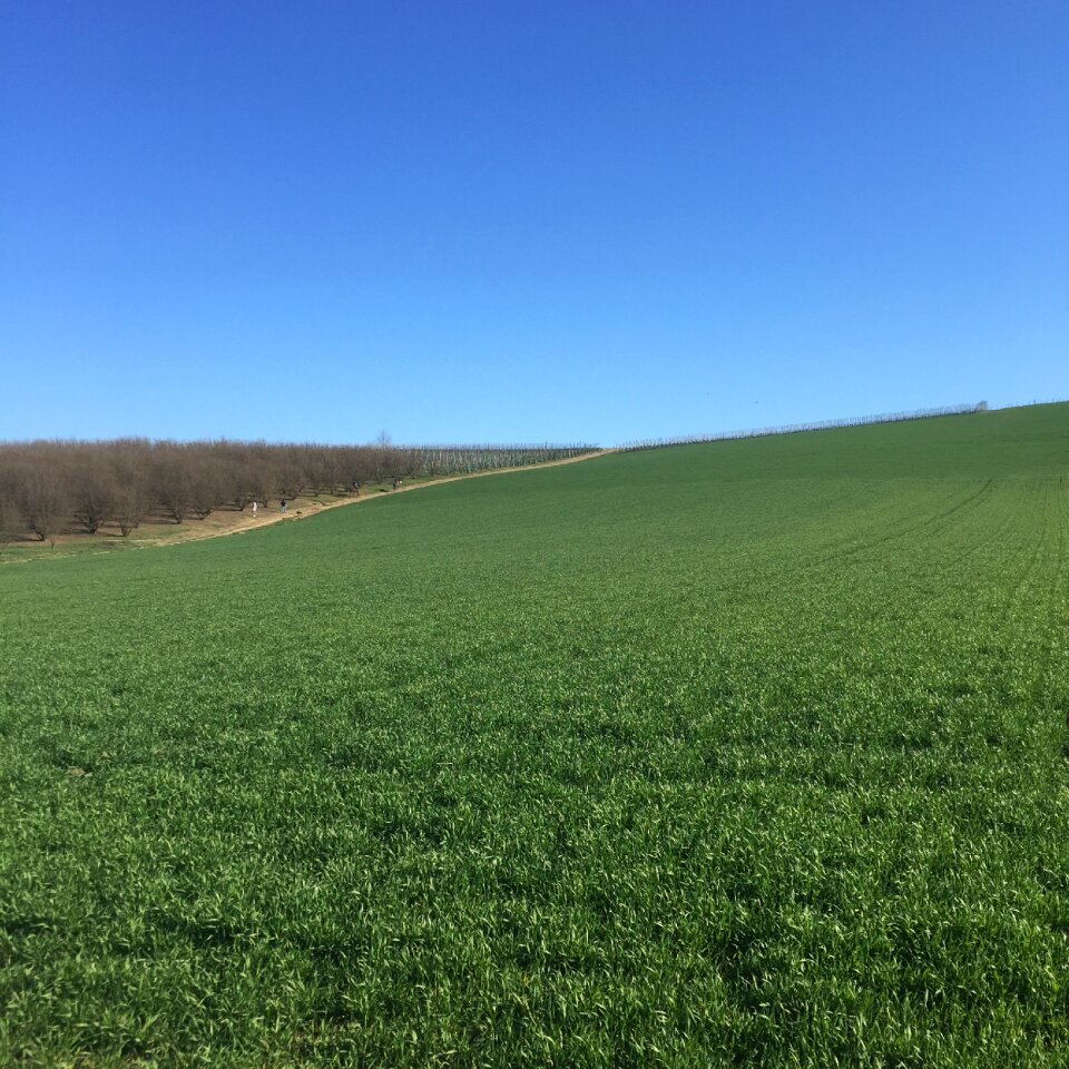 Hiking green nature