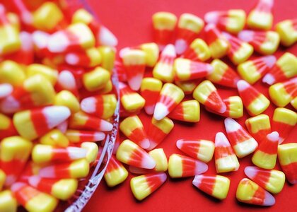 Sweet treat halloween