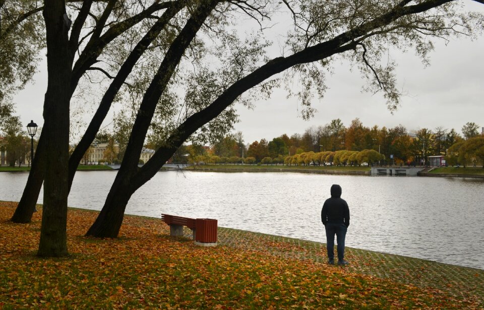 September loneliness bench