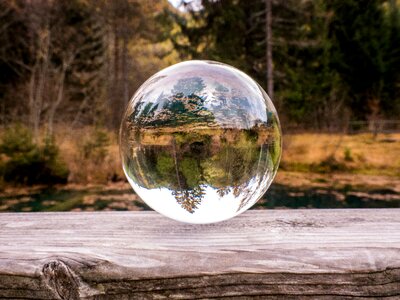 Trees mirroring reflection photo