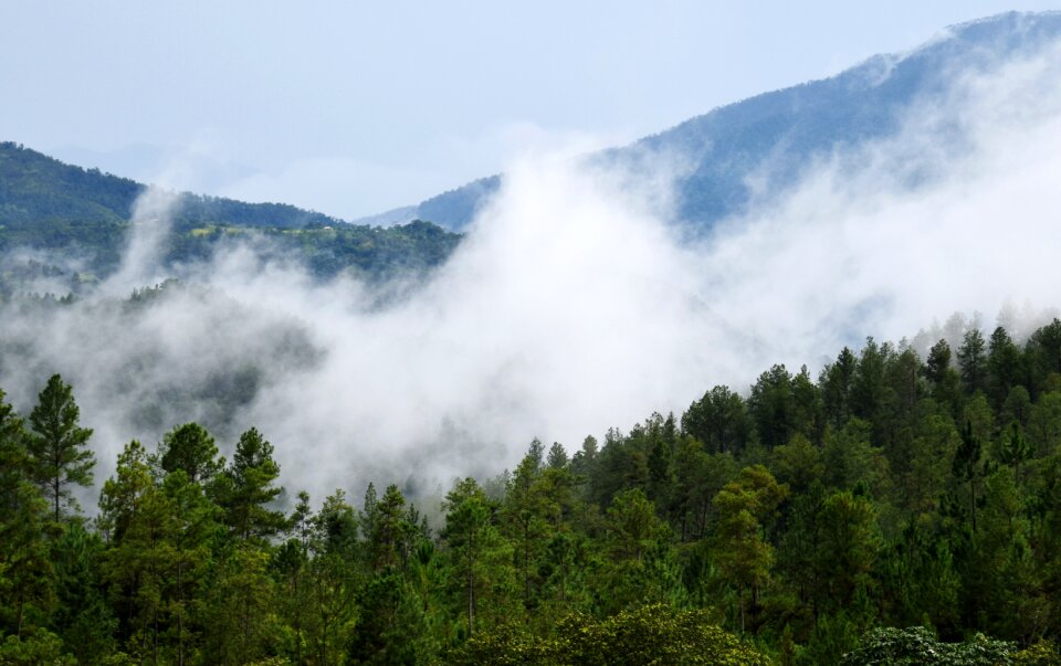 Fog montes sky