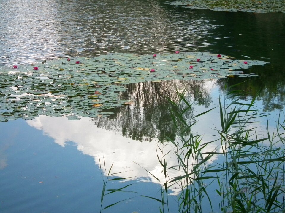 Water clouds water level