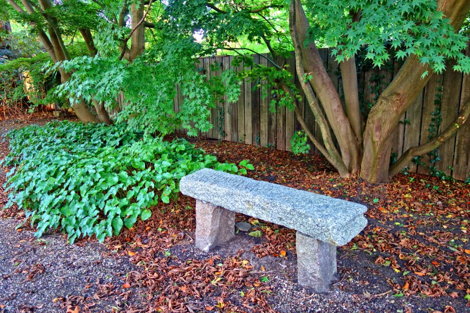 Garden park sitting