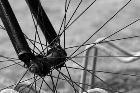 Macro bicycle cycle