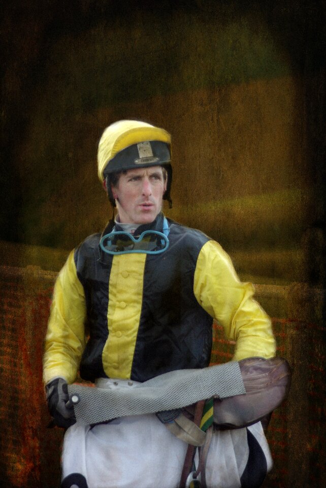Horse animal sport