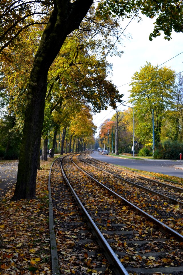 Tracks the prospect of poznan