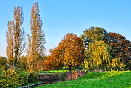 Rural holland middelpolder photo