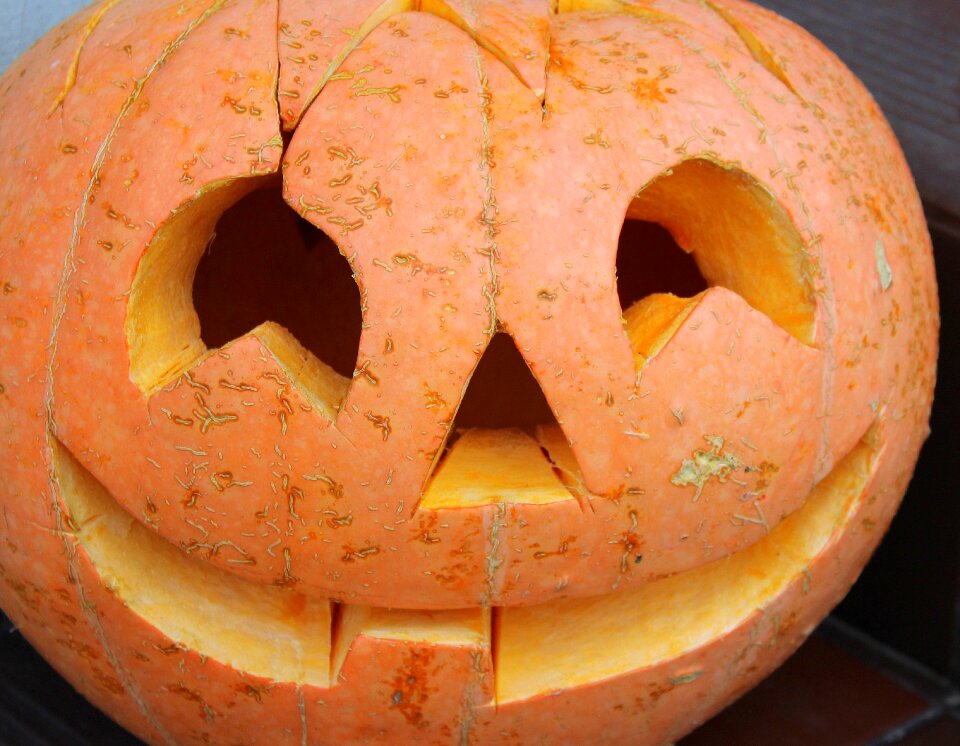 Orange autumn powycinana pumpkin