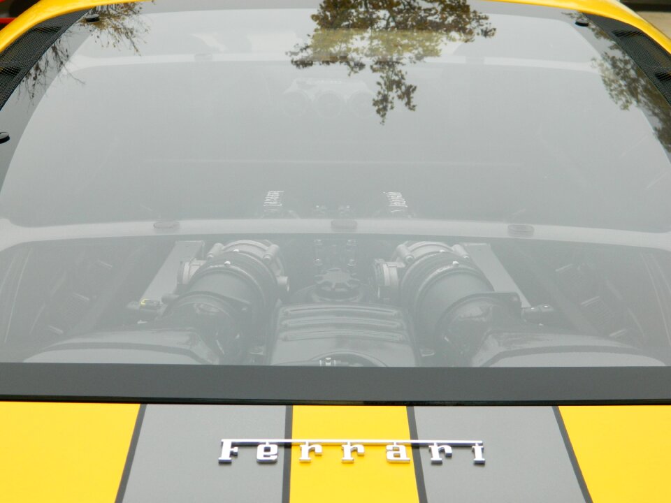 Sport engine collection