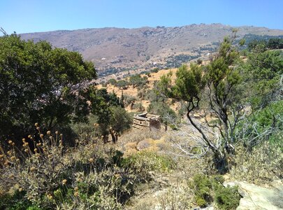 Mountain hiking environment