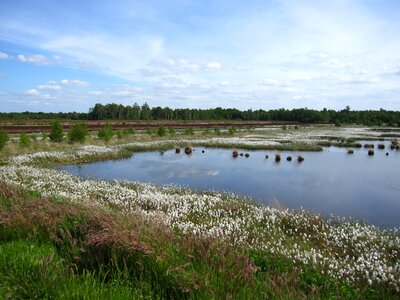 Landscape moor nature conservation