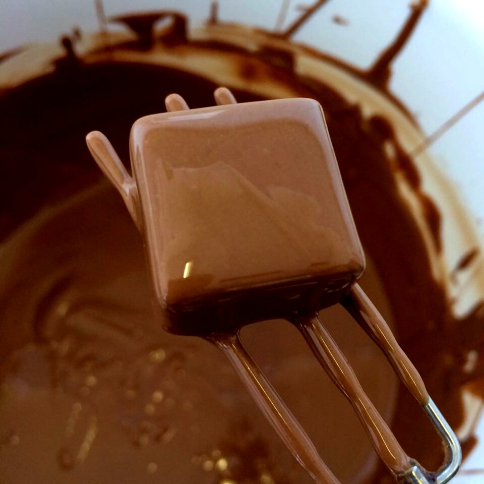 Chocolate food dairy