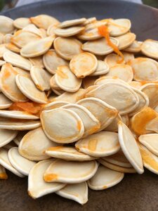 Autumn halloween seeds