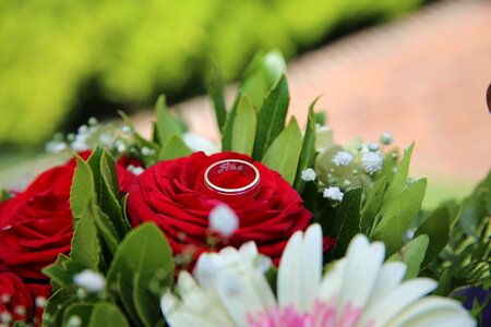 Romance love romantic