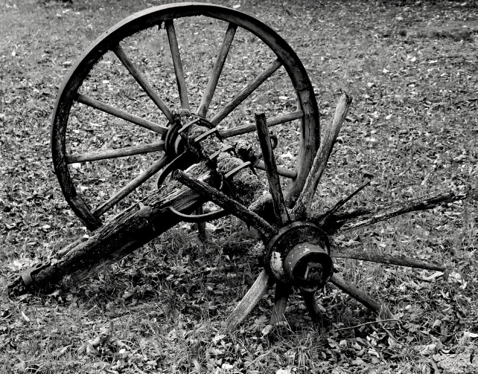 Wooden wheel spokes wheels