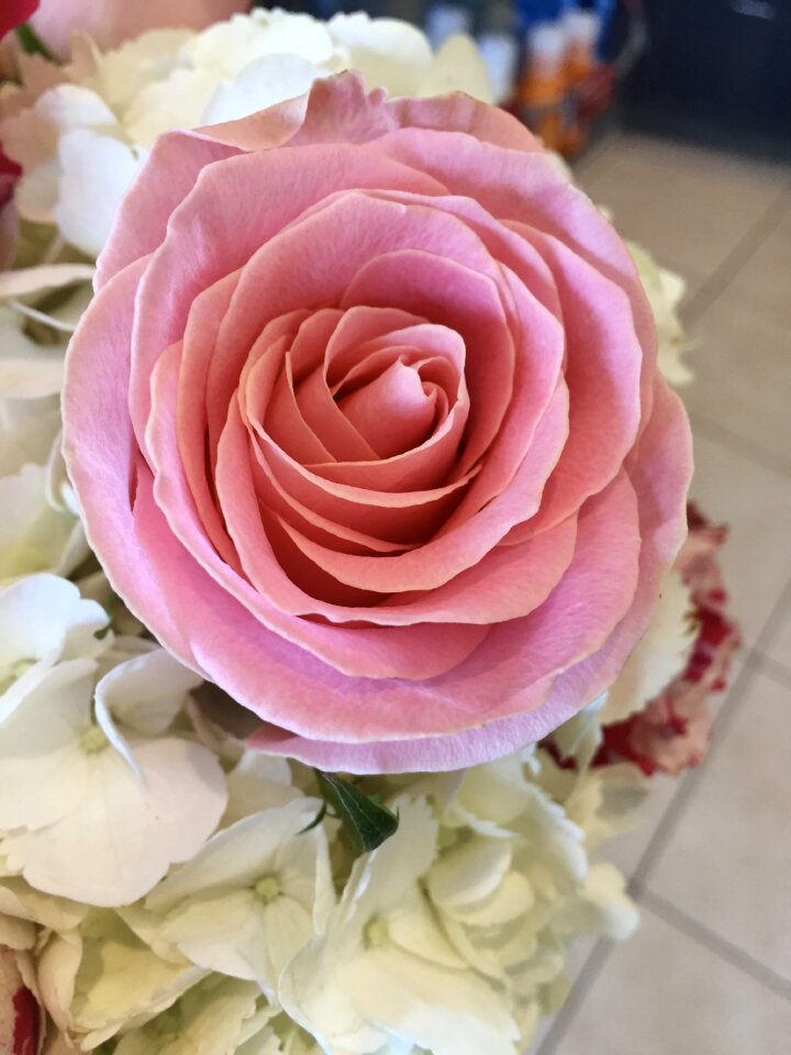 Bouquet wedding blossom