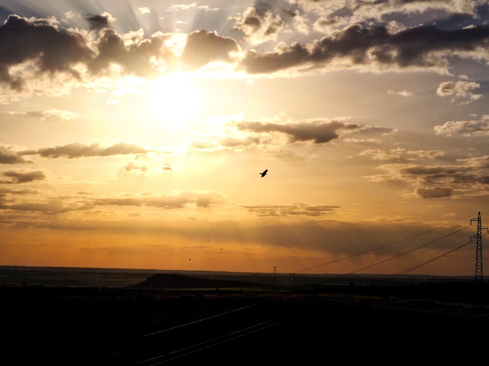 Clouds birds color
