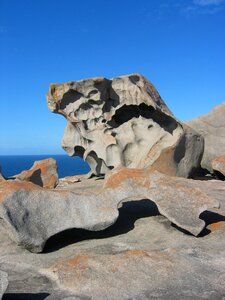 Kangarooh island australia road trip
