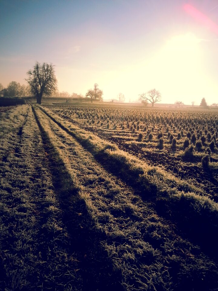 Nature landscape winter