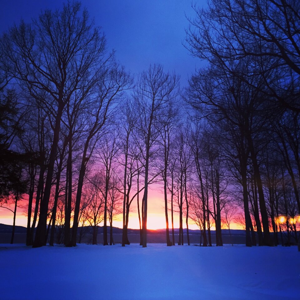 Snow nature landscape