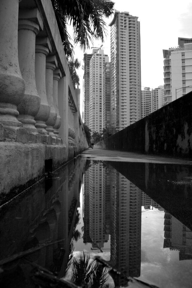 Cinta costera city avenue