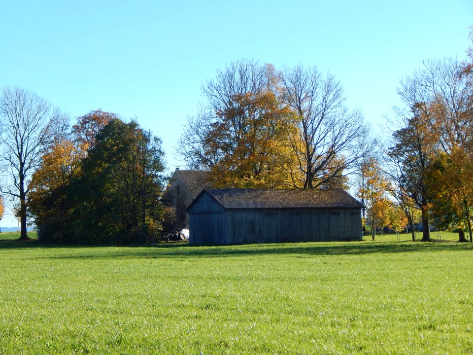 Autumn agriculture nature