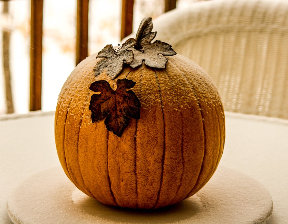 Artificial fruit winter autumn