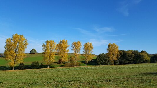 In the free nature land