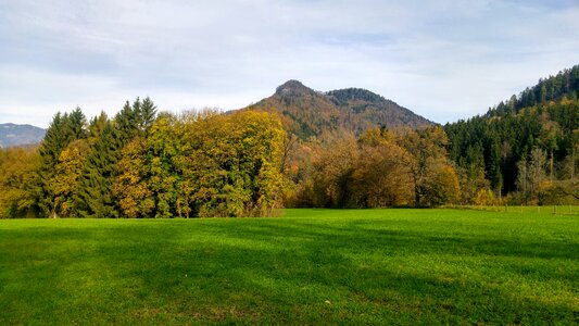 Laas nature forest