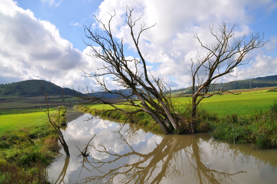 Beaver water reflection mirroring photo