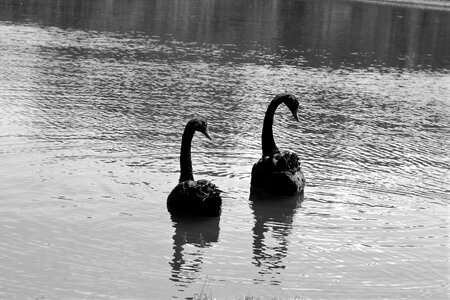 Nature lake park