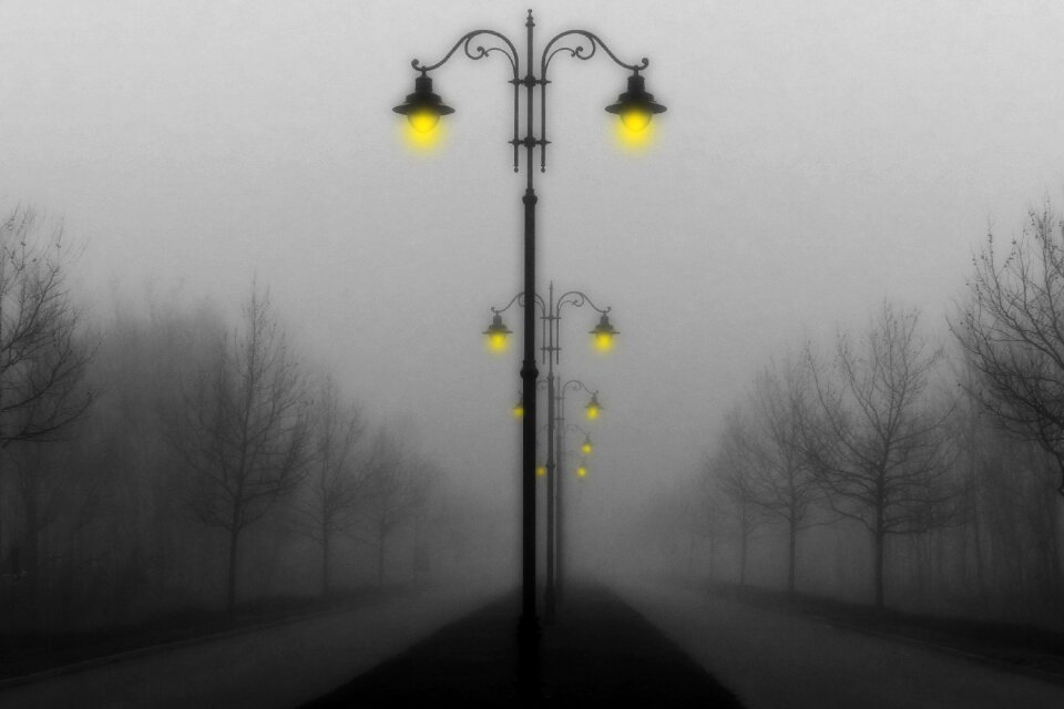 November mood fog autumn